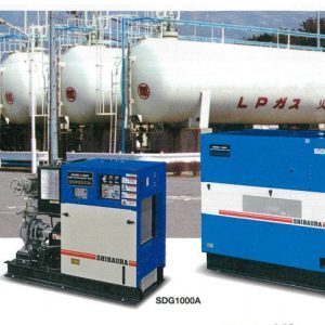 Máy bơm an toàn động cơ diesel SDG series
