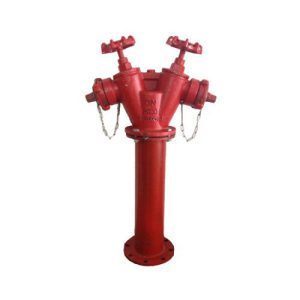 Trụ chữa cháy 2 cửa D65